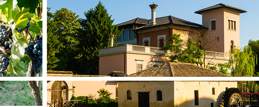 Santa Margherita Our Winery Our Vineyard Sustaniability